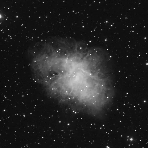 Nebulosa del Cangrejo (M1) — Cristóbal Gámez