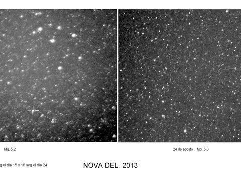 Nova del Delfín — Cristóbal Gámez