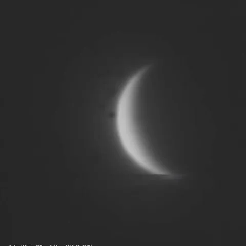 Venus — Cristóbal Gámez