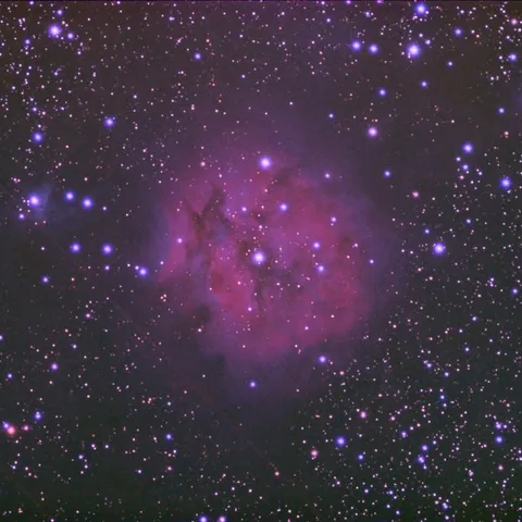 IC5146. Equipo ED178mm a F9 y StarLight — Emilio Hidalgo