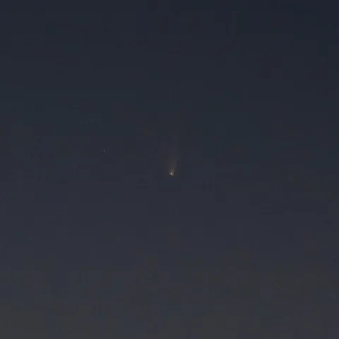 Cometa C/2011 L4 Panstarrs — Javier Salido