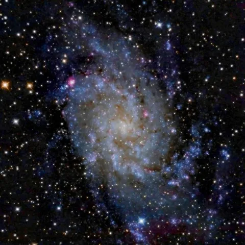 Galaxia del Triángulo (M33) — José Carrillo