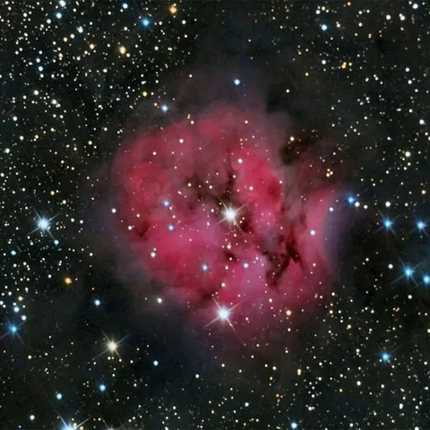 Nebulosa del Capullo (IC5146) — José Carrillo